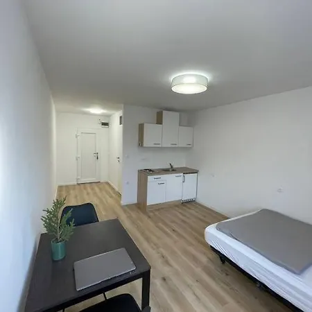 Renewed One Bedroom On A Good Location Liubliana