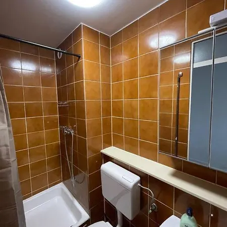Renewed One Bedroom On A Good Location 卢布尔雅那