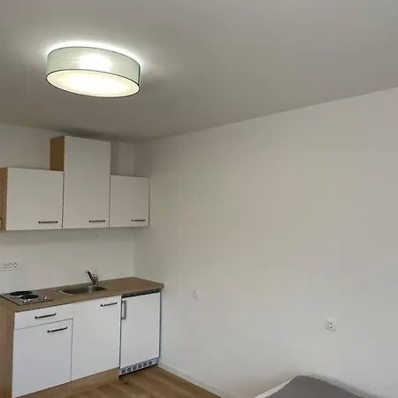 公寓 Renewed One Bedroom On A Good Location 卢布尔雅那